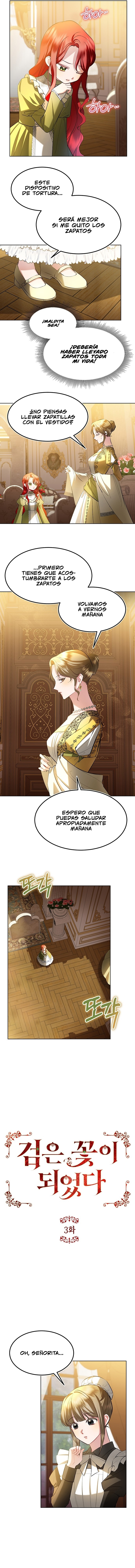 Se convirtió en una Flor Negra > Capitulo  > Page 5